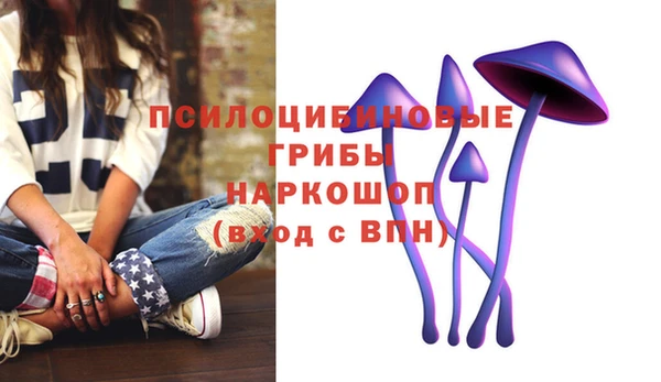 apvp Армянск