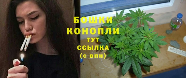стафф Аркадак