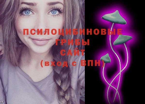 стафф Аркадак