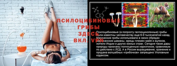 apvp Армянск