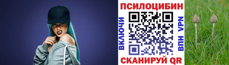 Псилоцибиновые грибы мухоморы  blacksprut ONION  Людиново  продажа наркотиков 