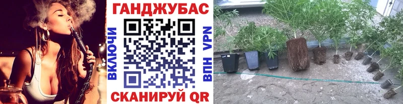 Канабис индика  как найти наркотики  Людиново 